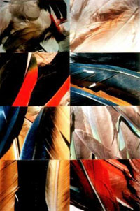 fotoserie feathers,<br>120 x 80 cm