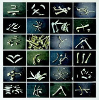 unsichtbare alphabete<br>fotoinstallation, 200cm x 200cm<br>24 fotos a 30 x 45cm